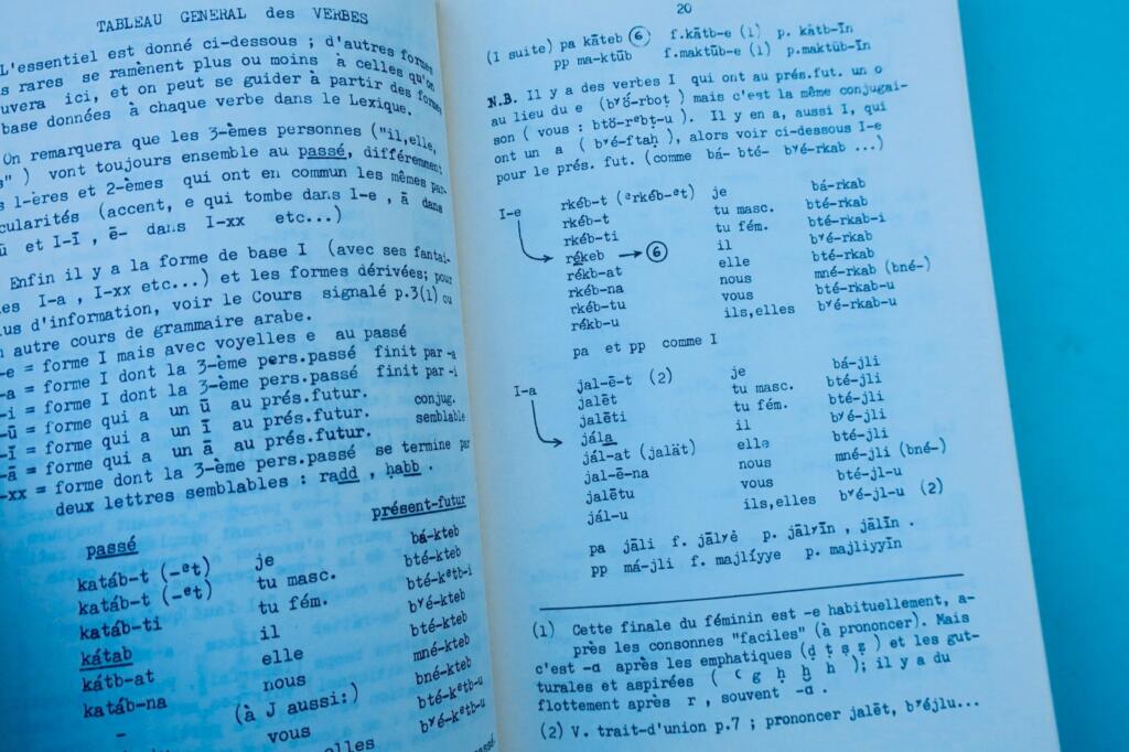 arabic Palestinian spoken Arabic dictionary: French-Arabic