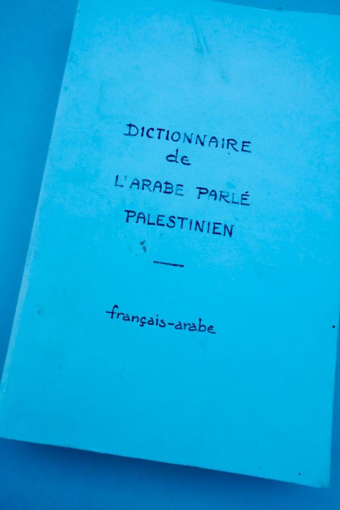 arabic Palestinian spoken Arabic dictionary: French-Arabic