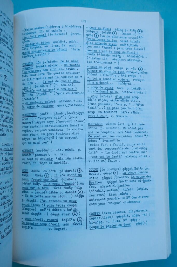 arabic Palestinian spoken Arabic dictionary: French-Arabic