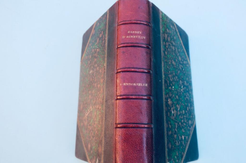 Barbey d'Aurevilly Jules. Werke von Jules Barbey d'Aurevilly: Die Verzauberte 1878
