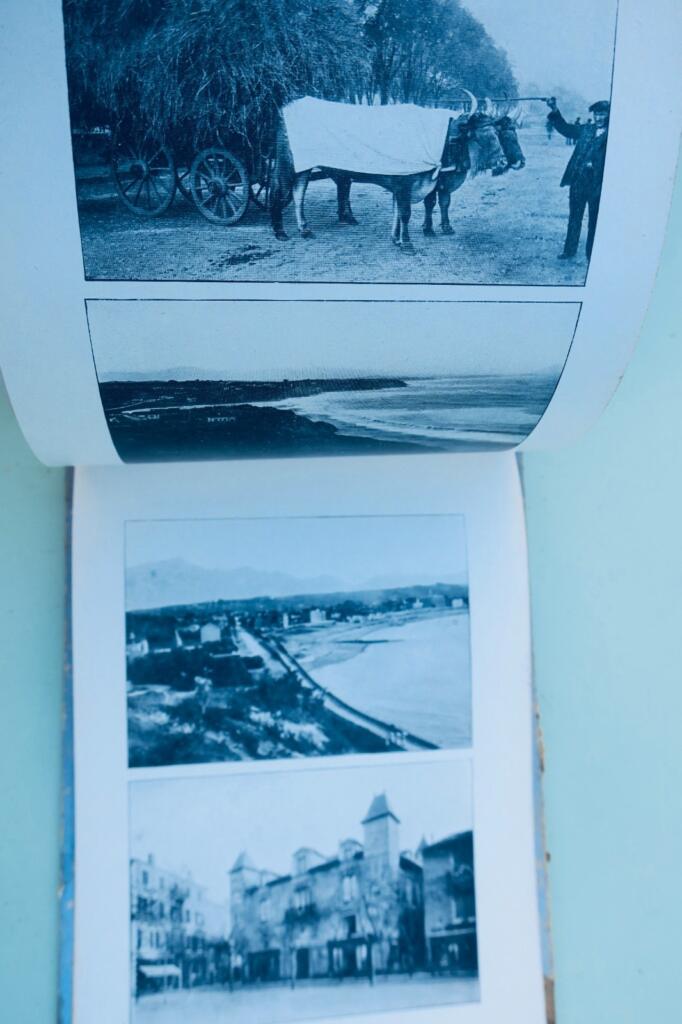 basque BAYONNE-BIARRITZ. Anglet, Bidart, Guthary, St Jean de Luz, Hendaye, Cambo