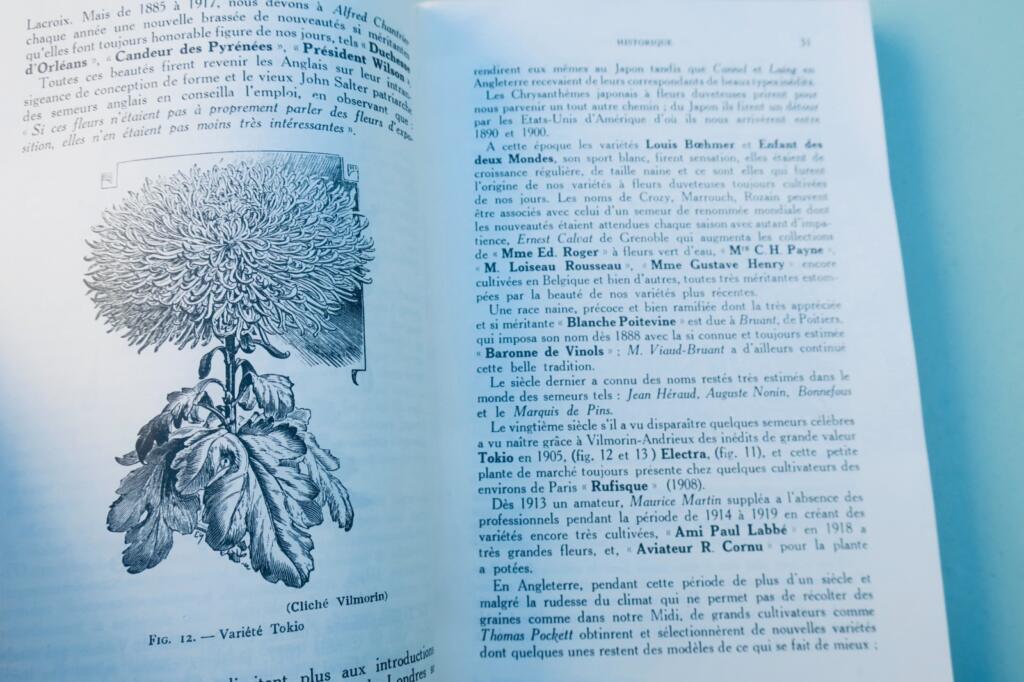 Péguy. 菊 Chrysanthèmes: 園芸図書