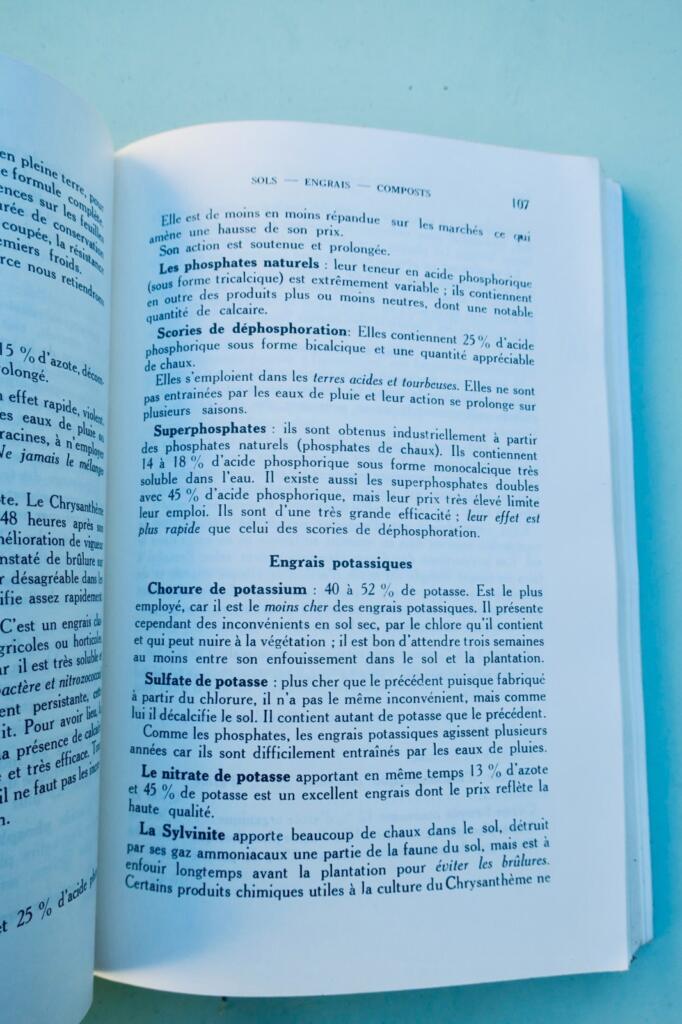 Péguy. 菊 Chrysanthèmes: 園芸図書