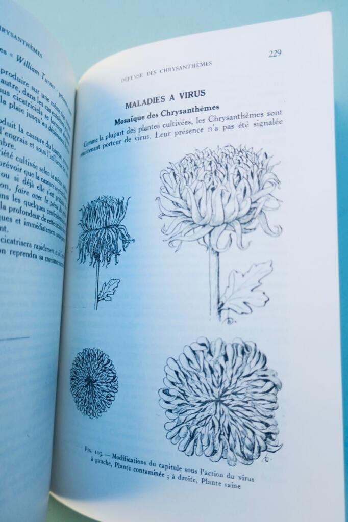 Péguy. 菊 Chrysanthèmes: 園芸図書