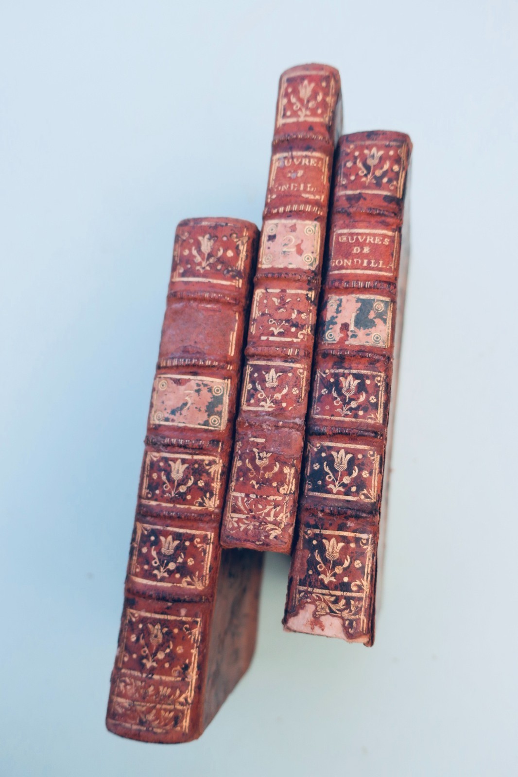 Condillac Treatise on Sensations, followed by Treatise on Animals