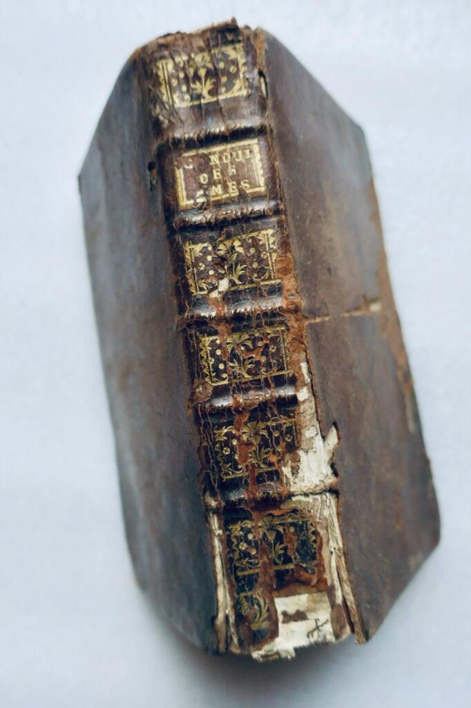Conduct of souls on the path to salvation, to serve as a supplement to 1765