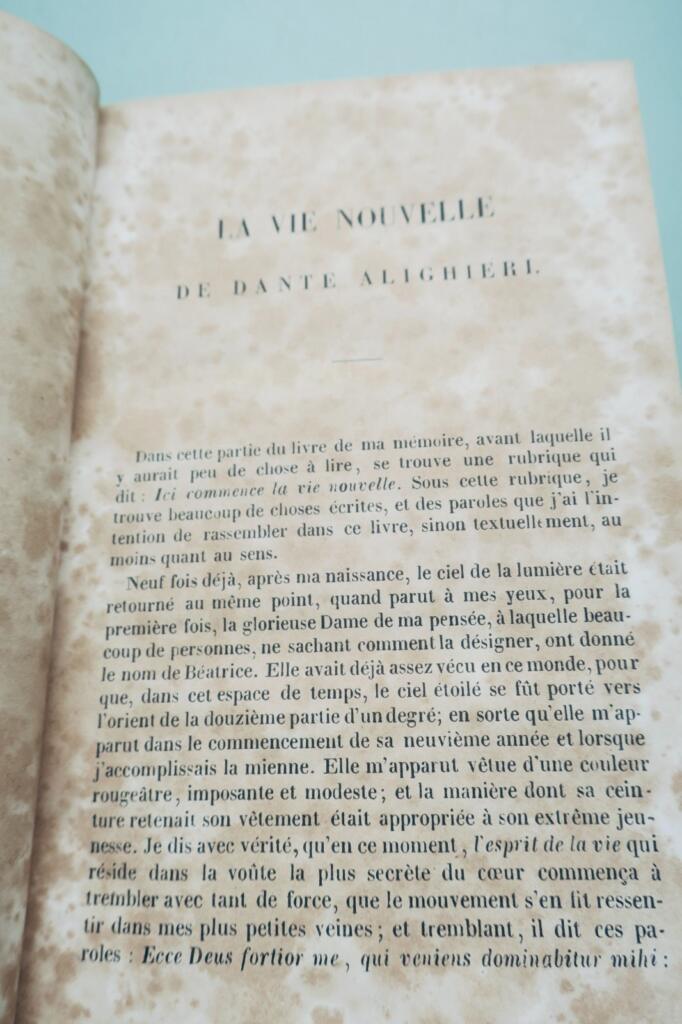 DANTE Alighieri Oeuvres CHARPENTIER LA DIVINE COMÉDIE 1841