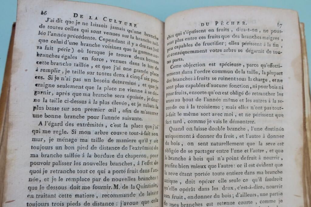 ECOLE DU JARDIN POTAGER – TRAITE DE LA CULTURE DES PÊCHERS COMBLES