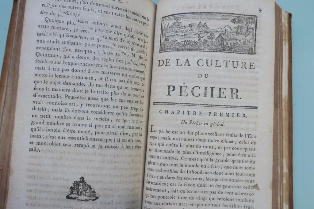 ECOLE DU JARDIN POTAGER – TRAITE DE LA CULTURE DES PÊCHERS COMBLES