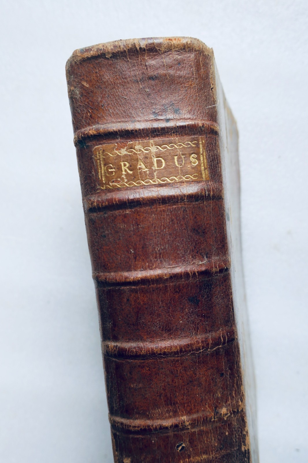 Gradus ad Parnassum oder Novus Synonymorum, Epithetorum, Versuum-Thesaurus 1897