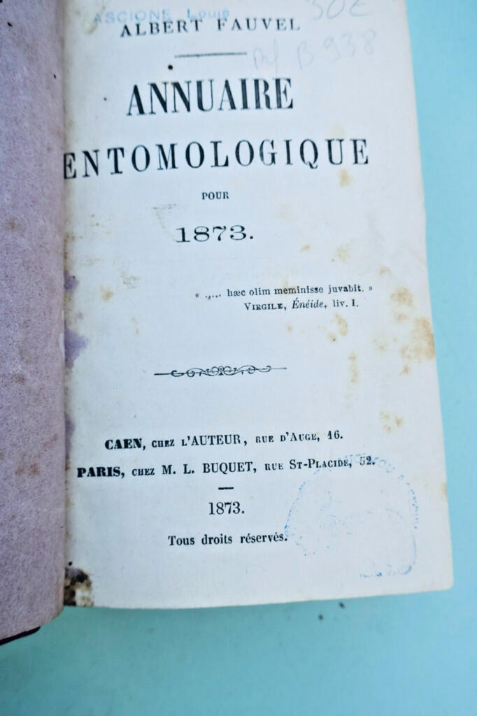 insecte Fauvel Annuaire entomologique 1873-1874-1875