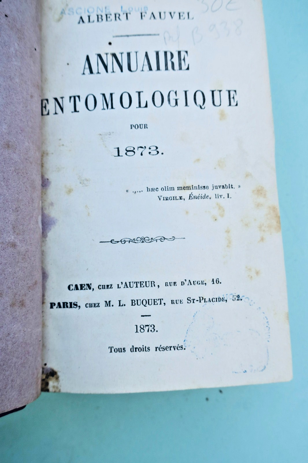 insecte Fauvel Annuaire entomologique 1873-1874-1875 (vue 2 sur 9)