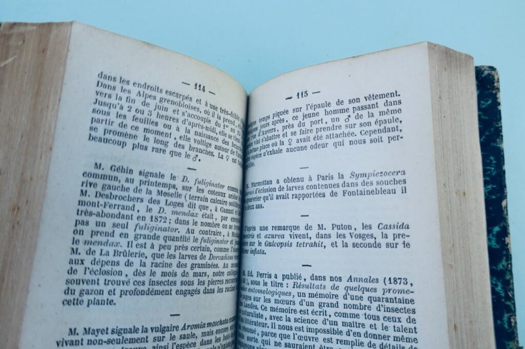 insecte Fauvel Annuaire entomologique 1873-1874-1875