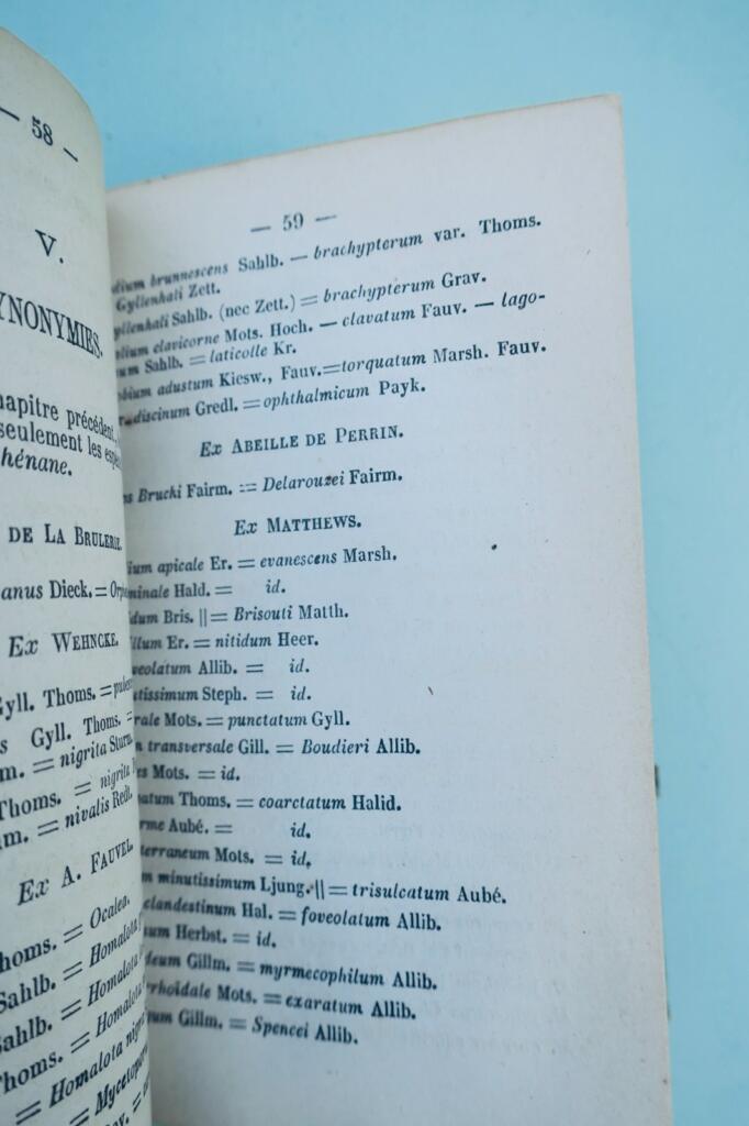 insecte Fauvel Annuaire entomologique 1873-1874-1875