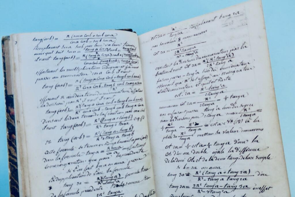 Garten Spaziergänge eines Naturforschers: Insekten 1838 + handschriftliche Notizen