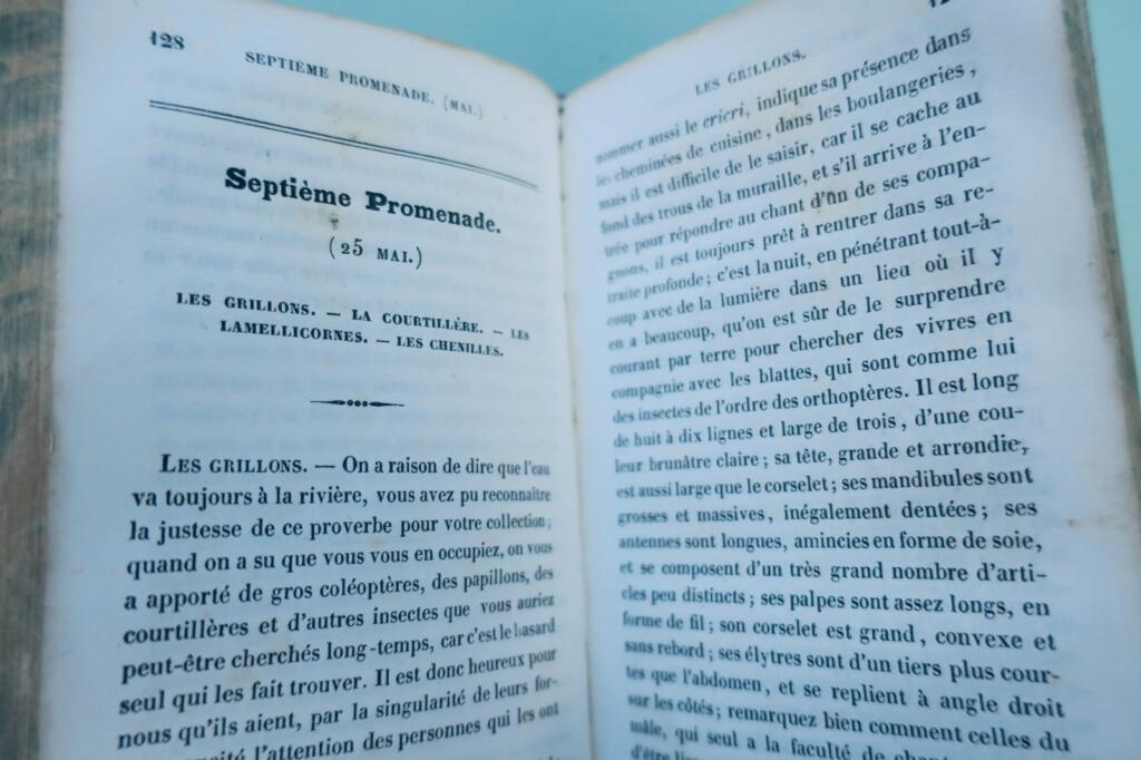 Garten Spaziergänge eines Naturforschers: Insekten 1838 + handschriftliche Notizen