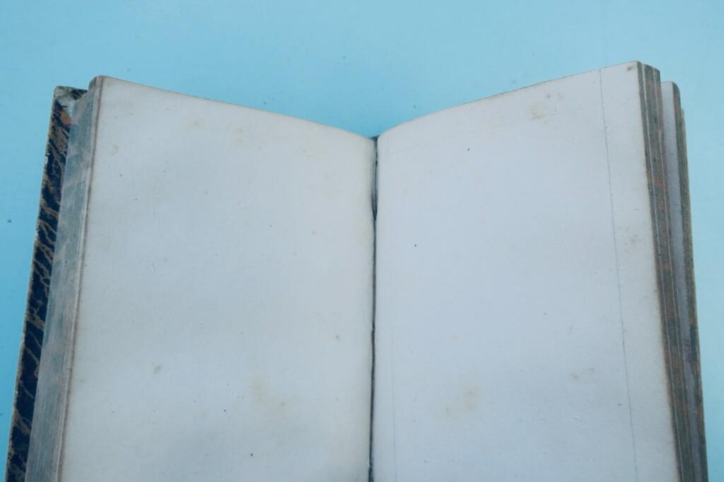 Garten Spaziergänge eines Naturforschers: Insekten 1838 + handschriftliche Notizen