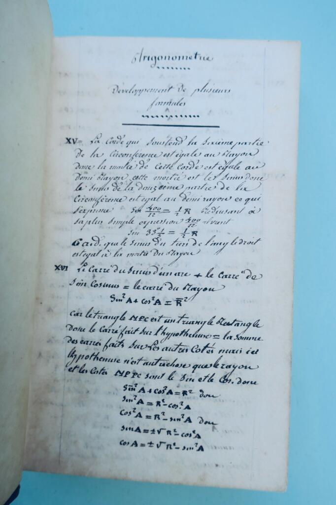 Garten Spaziergänge eines Naturforschers: Insekten 1838 + handschriftliche Notizen