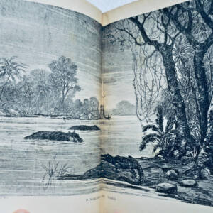 niger AU BAS NIGER / EXPLORATIONS AFRICAINES 1886