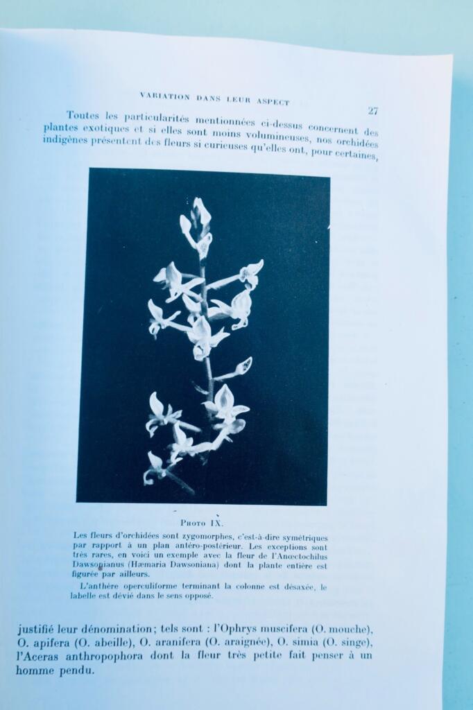 orchidées. Généralités, culture, obtention des semis et description des