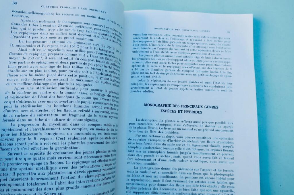 orchidées. Généralités, culture, obtention des semis et description des