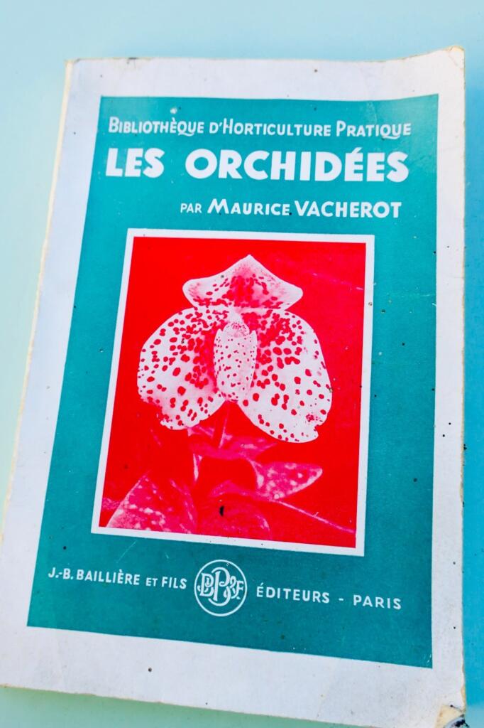 orchidées. Généralités, culture, obtention des semis et description des