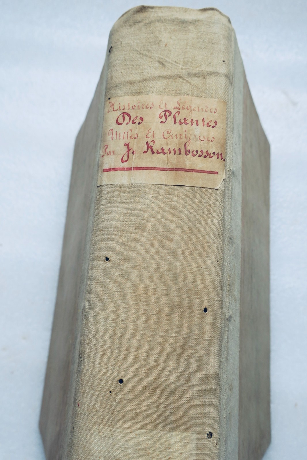plante Rambosson Histoire et légendes des plantes utiles et curieuses 1868 (vue 2 sur 7)