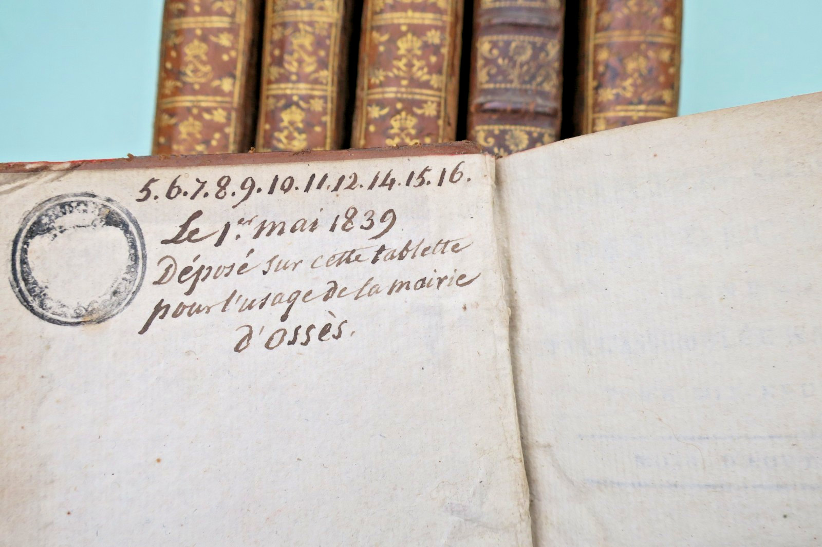 révolution Collection générale des décrets rendus par l'assemblée nationale 1790 (livre ancien, vue 2 sur 9)