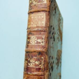 TRAITÉ DES DROITS SEIGNEURIAUX ET DES MATIÈRES FÉODALES 1745