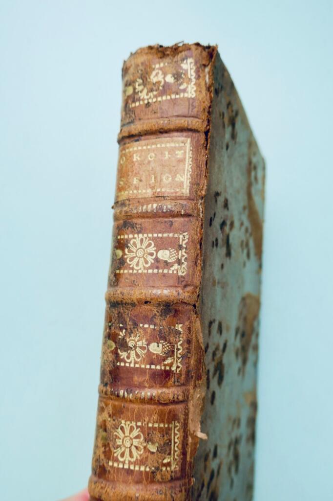 TRAITÉ DES DROITS SEIGNEURIAUX ET DES MATIÈRES FÉODALES 1745