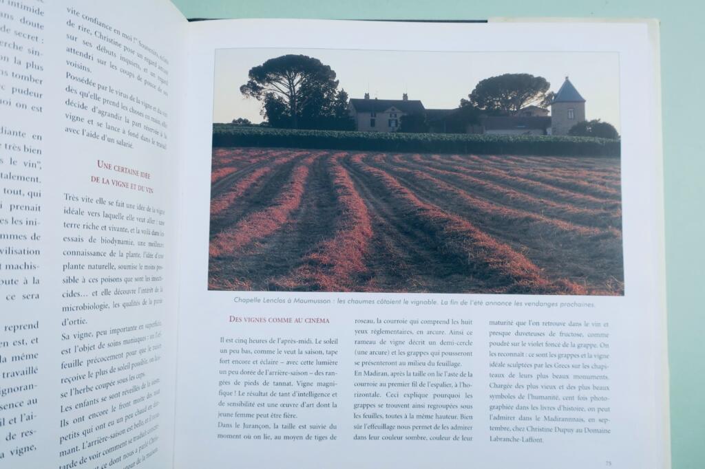 Madiran – der Wein aus dem Terroir