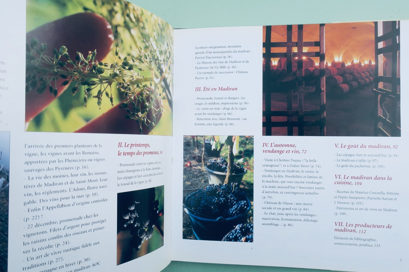 MADIRAN – Der Wein aus der Region