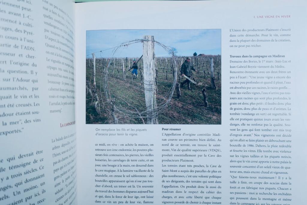 Madiran – der Wein aus dem Terroir
