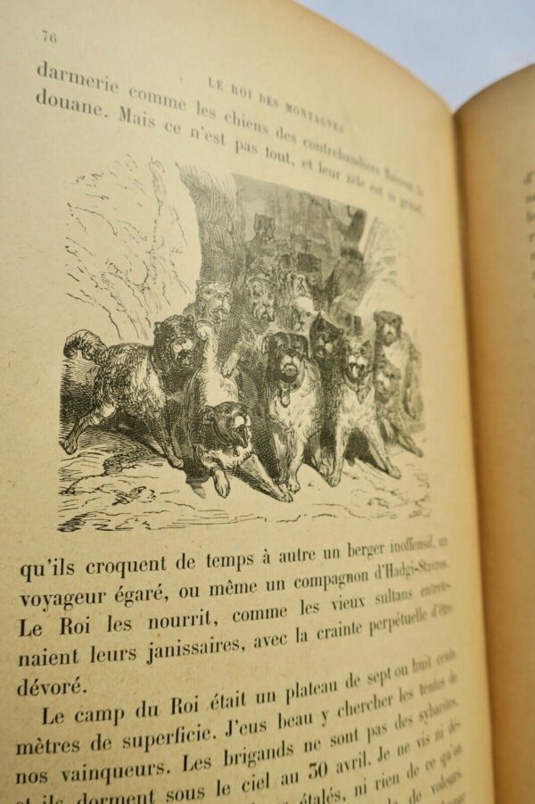 ABOUT EDMOND LE ROI DES MONTAGNES illustré par Gustave Doré – Image 7