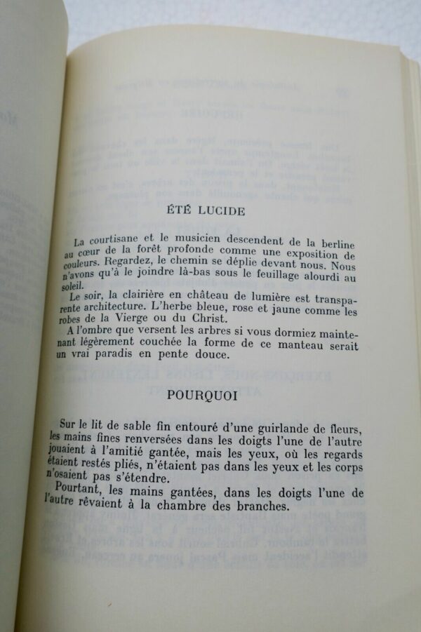 ANTHOLOGIE DU SURREALISME EN BELGIQUE – Image 7