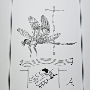 ARRABAL Fernando, CAMACHO Jorge. Rêves d'insectes