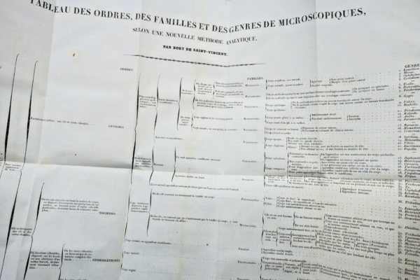 BORY DE SAINT-VINCENT Dictionnaire classique d'histoire naturel – Image 7