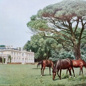 CHATEAUX EN GIRONDE 1956