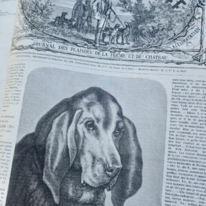 Chasse illustrée - Journal des plaisirs de la ferme et du château 1869-1870