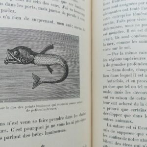 Curiosités de l'Histoire des Bêtes. Causeries familières