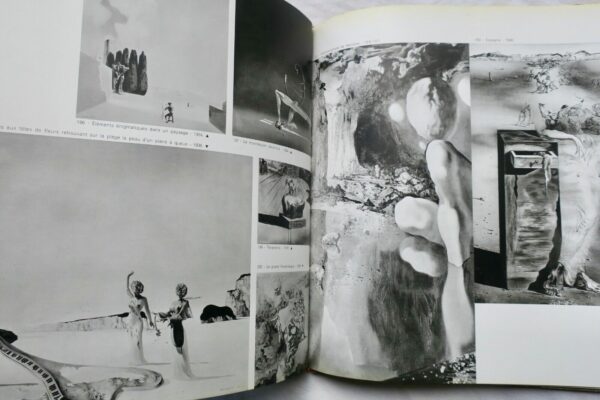 DALI DE DRAEGER1968 – Image 7