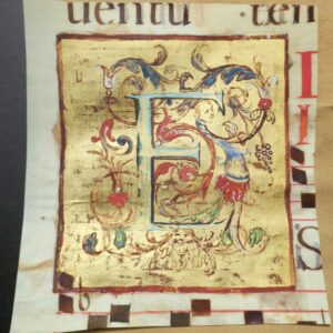 Enluminure 140 x 145 mm.