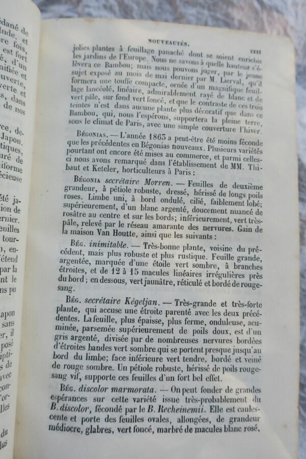 JARDIN bon jardinier. Almanach agricole pour l'année 1864 – Image 8