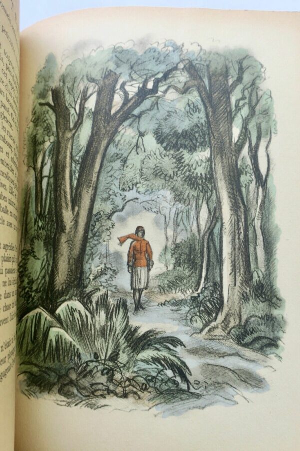 Lawrence - Lady Chatterley illustré de Collot – Image 5