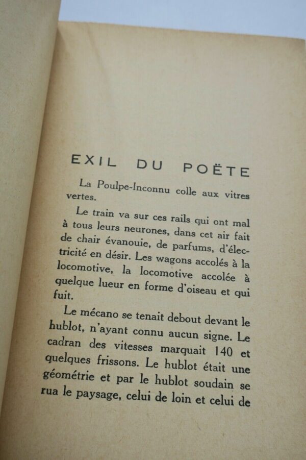 PLISNIER Charles Fertilité du désert  + dédicace – Image 6