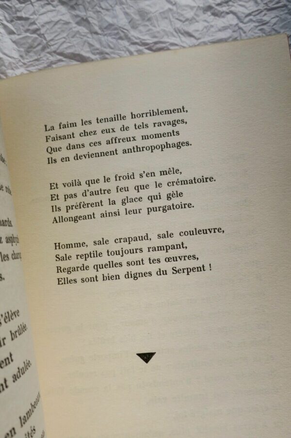 Sourbieu S.O.S. Myriam : Roman d'anticipation cantiques hermétiques, quand Satan – Image 3