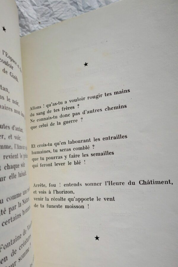 Sourbieu S.O.S. Myriam : Roman d'anticipation cantiques hermétiques, quand Satan – Image 8