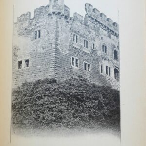 Vosges 88 Emile WAGNER Les ruines des Vosges 1910