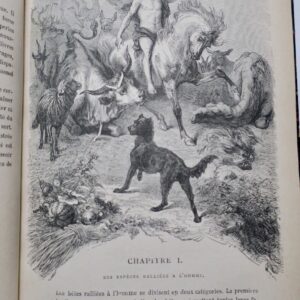 esprit des bêtes  Hetzel