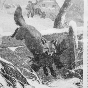 Chasse illustrée - Journal des chasseurs et de la vie à la campagne 1877